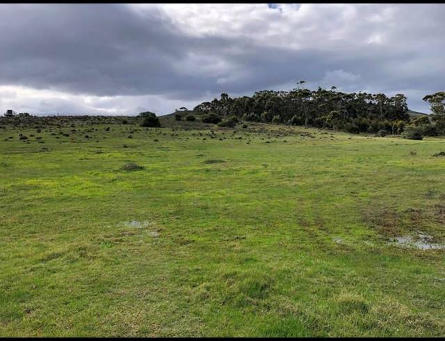 LAND FOR SALE IN BAARDSKEERDERSBOS